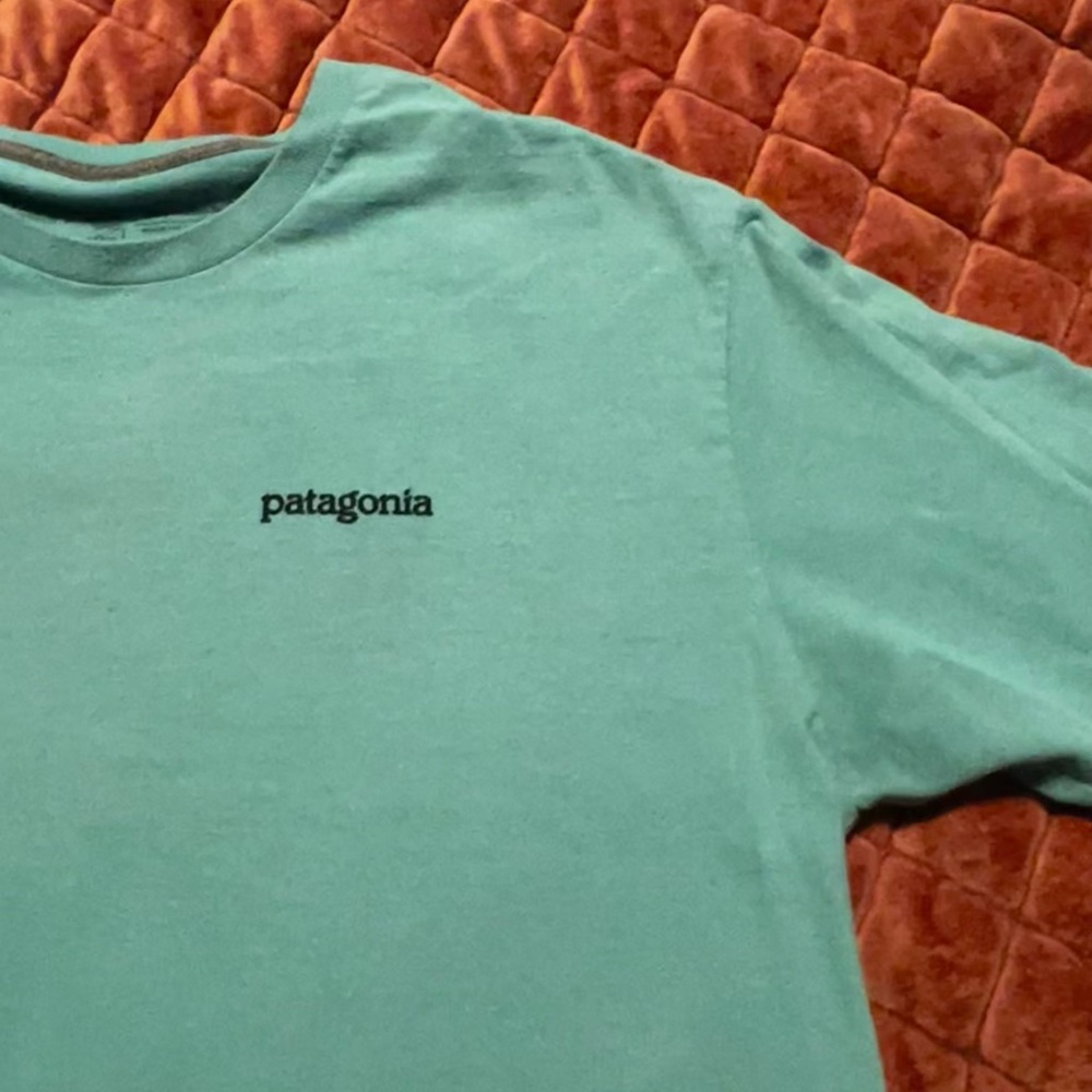 Patagonia Teal Short Sleeve Tee